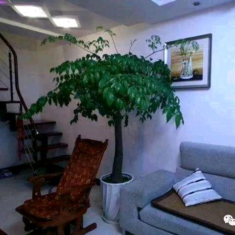 ℒℴѵe久居我心⁵²⁰℘࿐