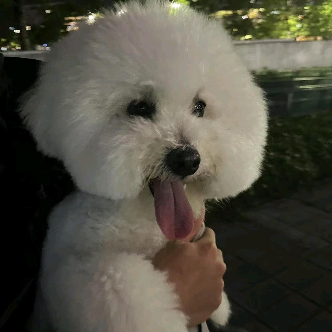 李源鑫