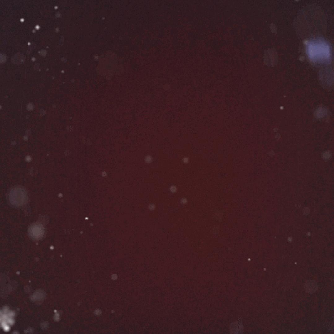 一