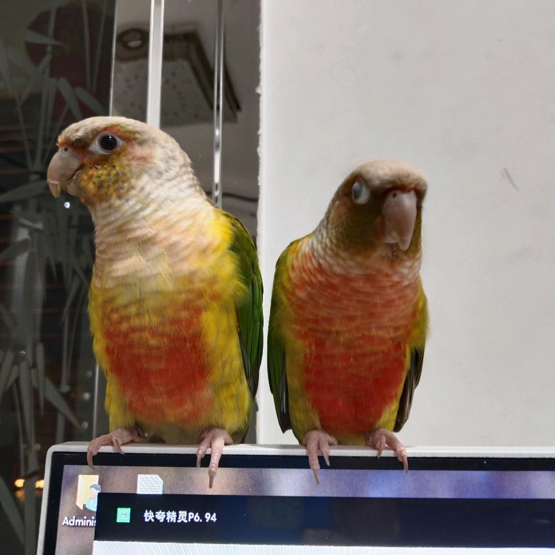 醉卧沙场美酒推荐