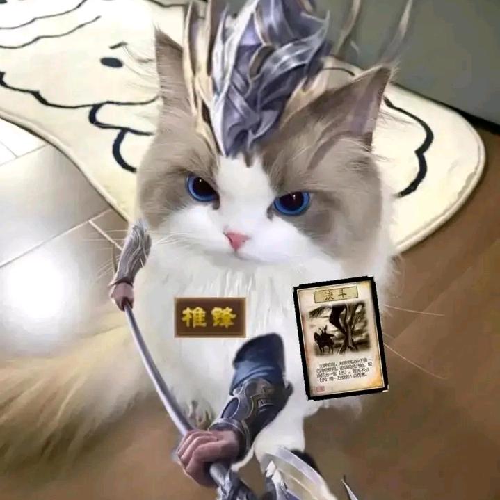 小怪