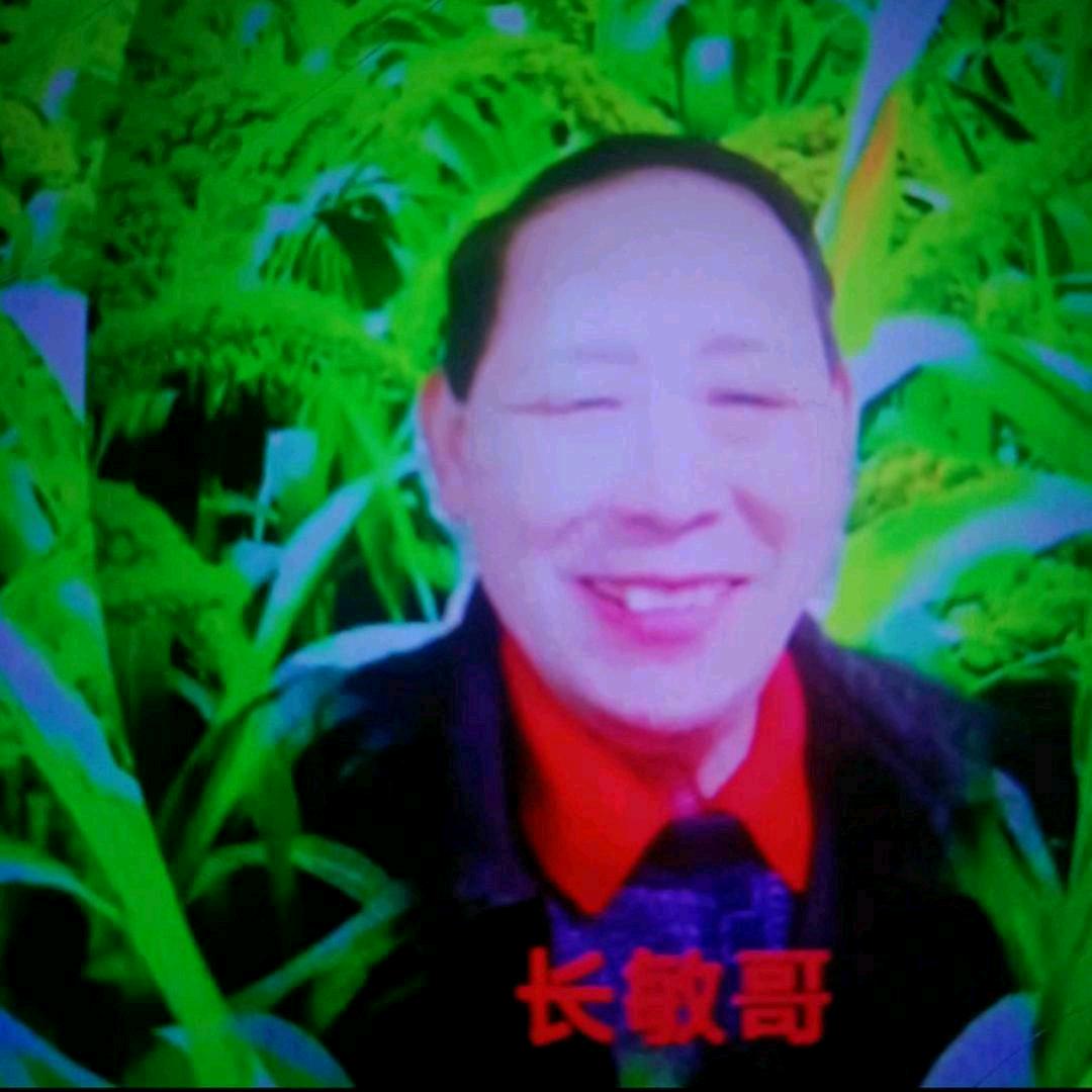 长敏哥