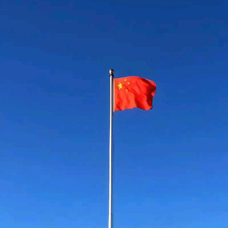 宝藏资料库