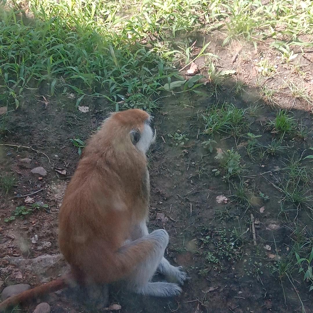 冬天的一把火