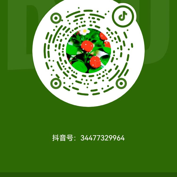 李坤 草坪 百慕大玛利亚。