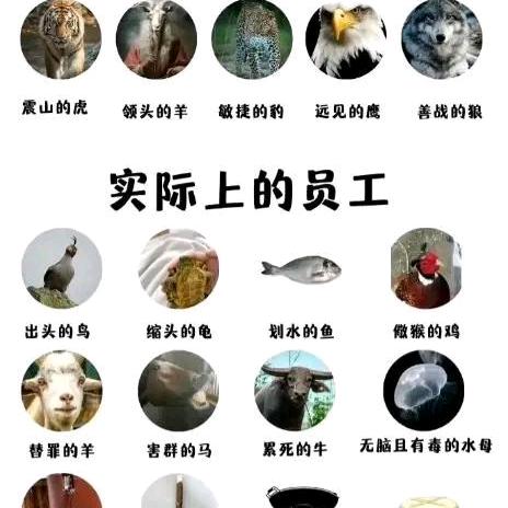 耀扬