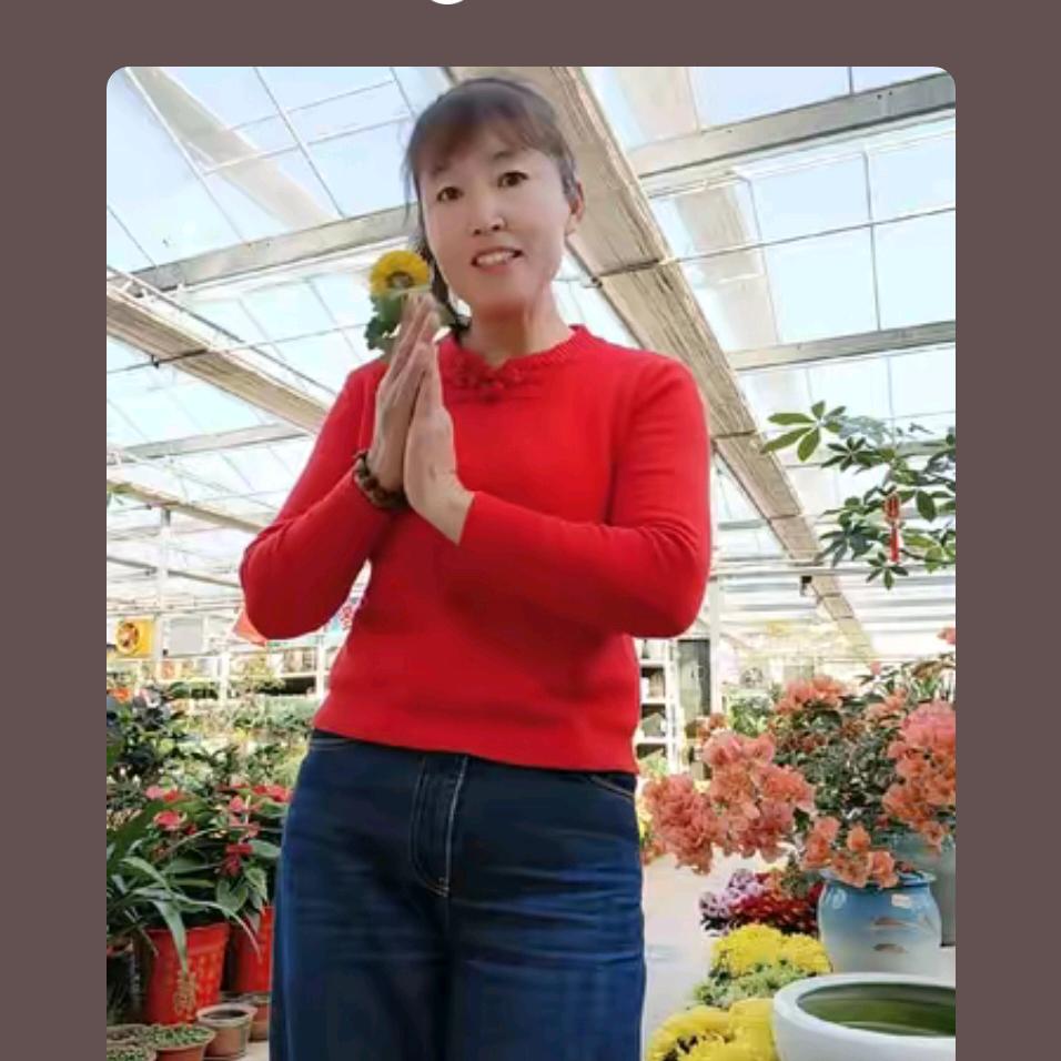 安丘花卉李姐