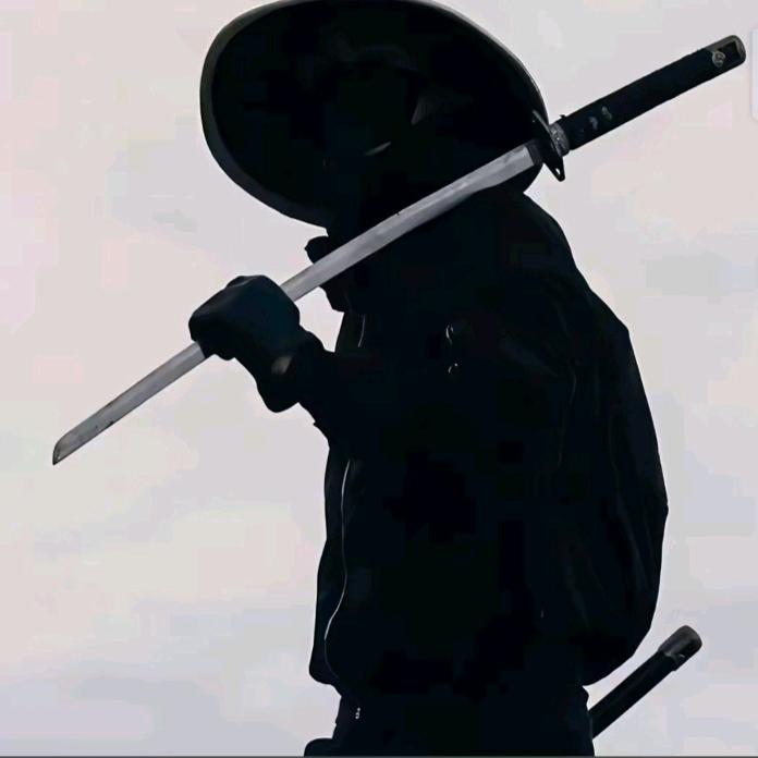 🗡️🗡️游侠🗡️🗡️