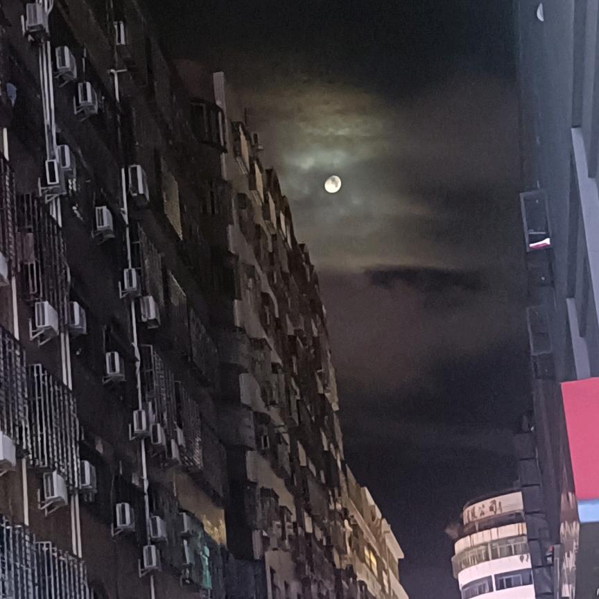 浪情