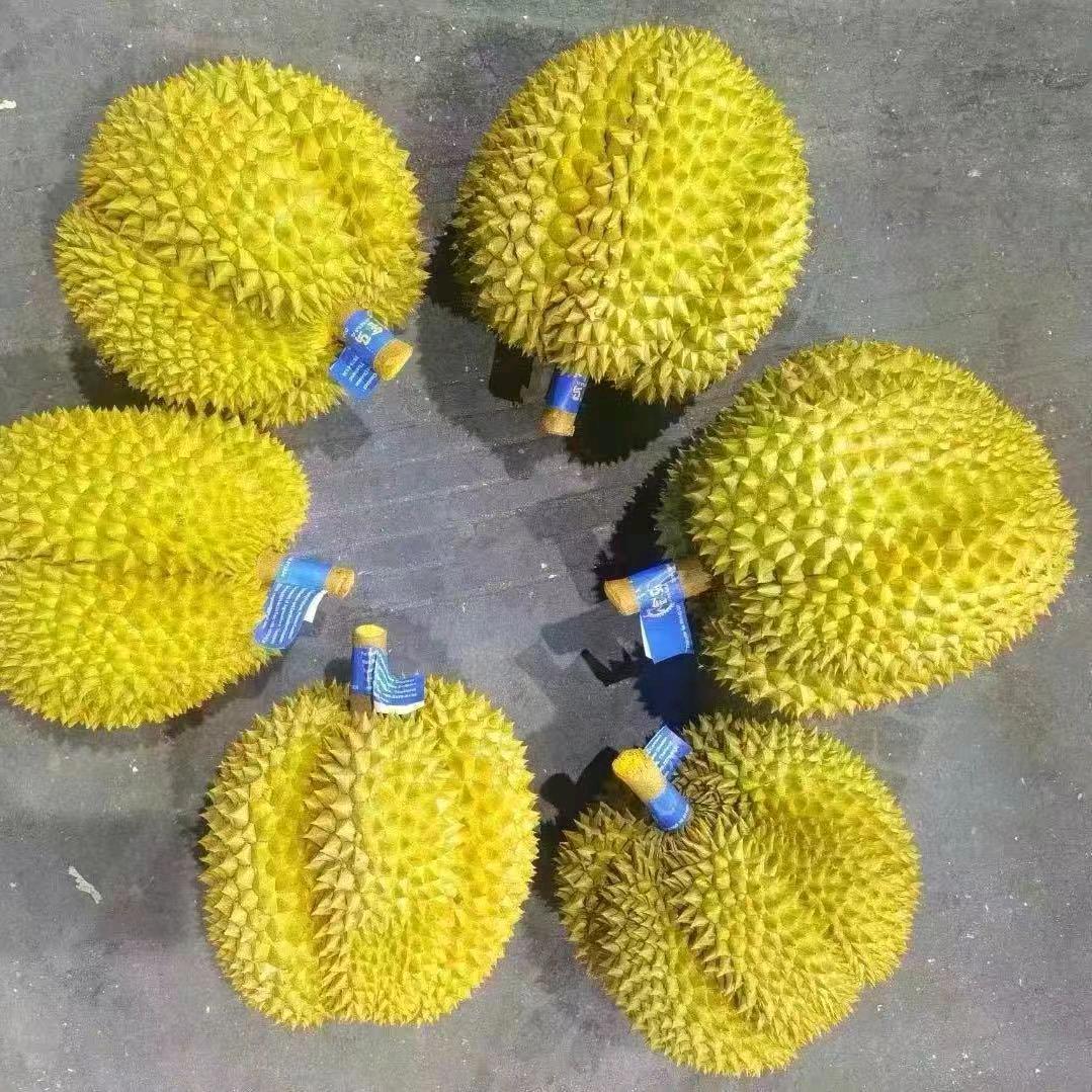 水果小哥