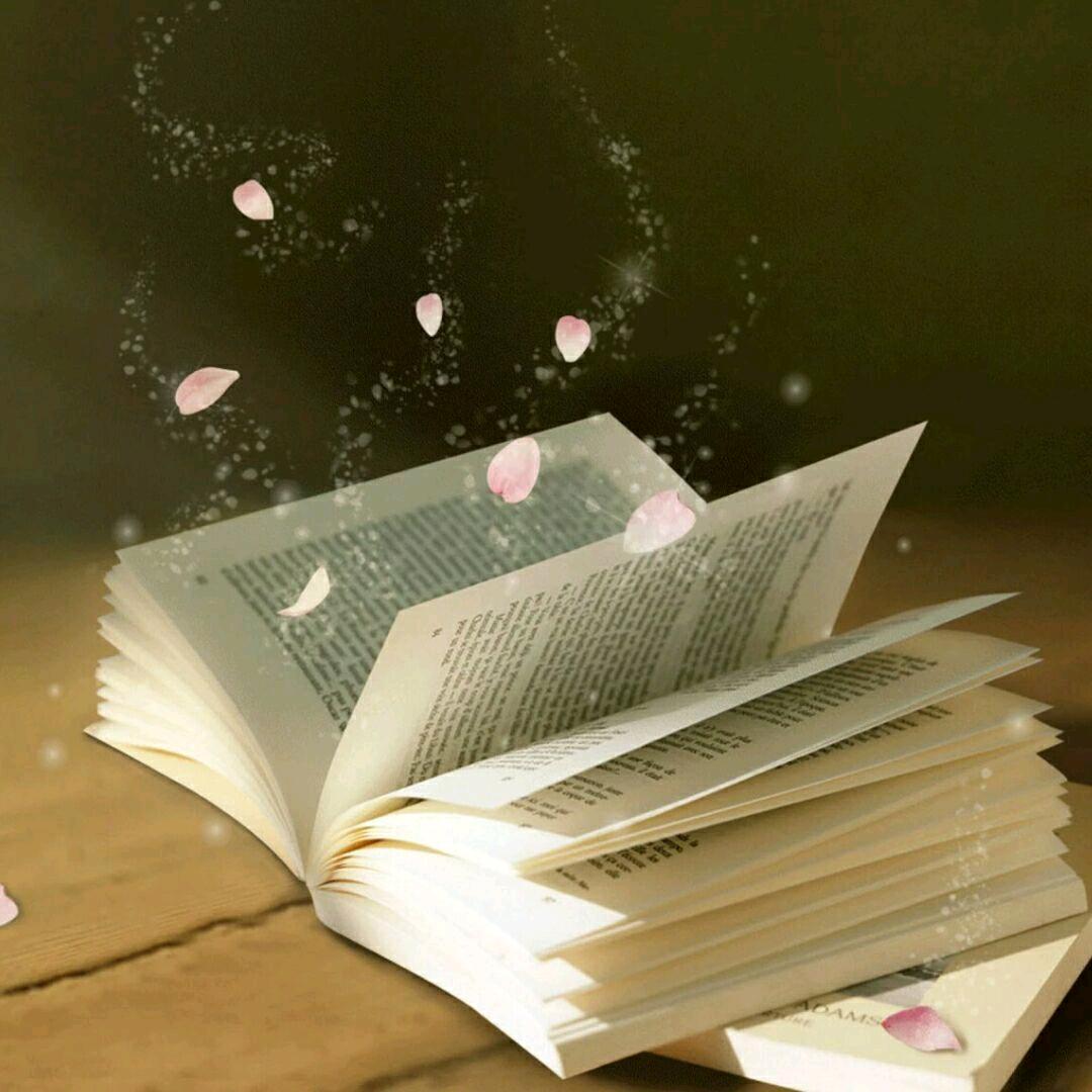 老杨的丰富生活