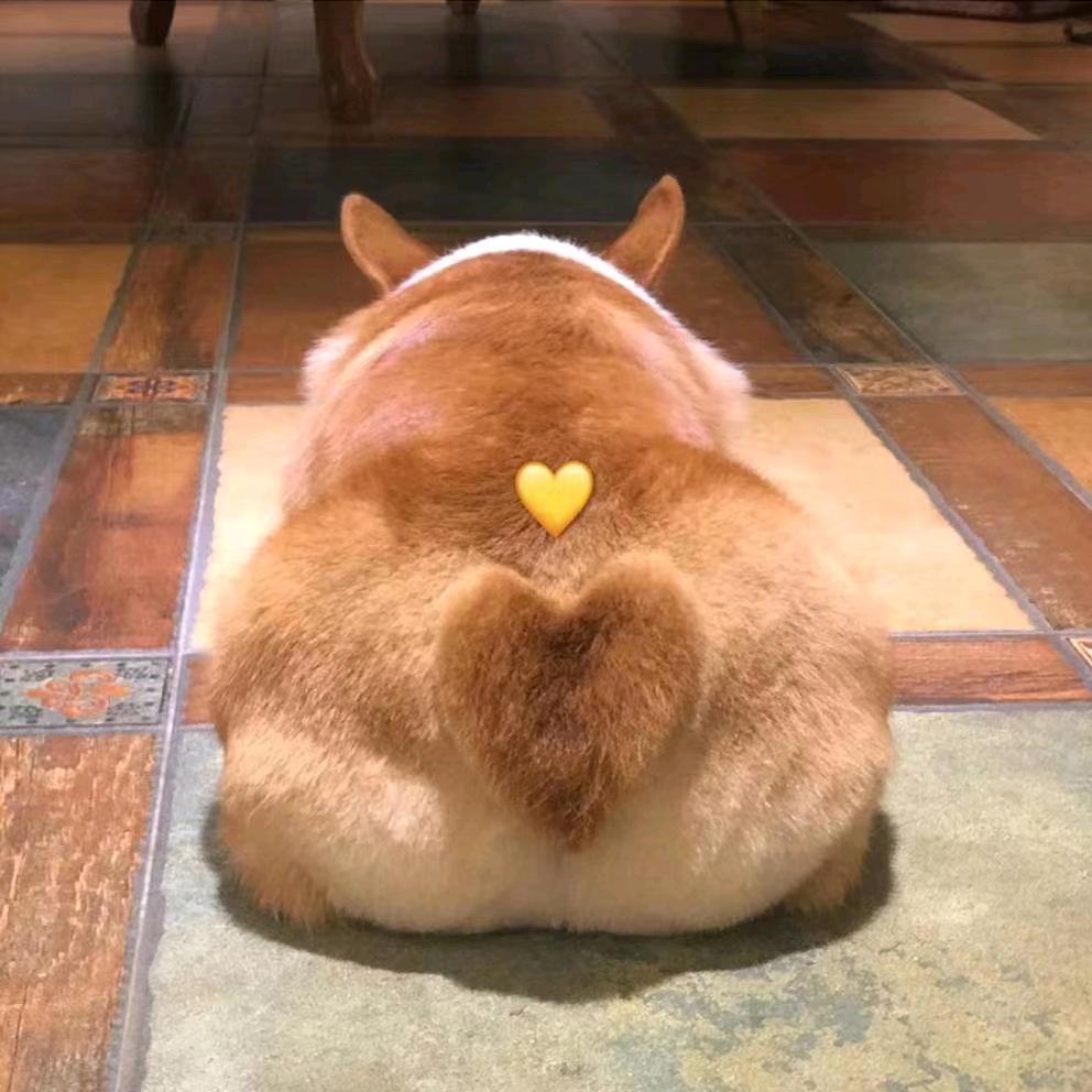 恐龙抗狼bluebiu bluebiu