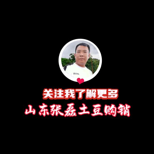 张磊土豆购销团队（专业马铃薯代办）