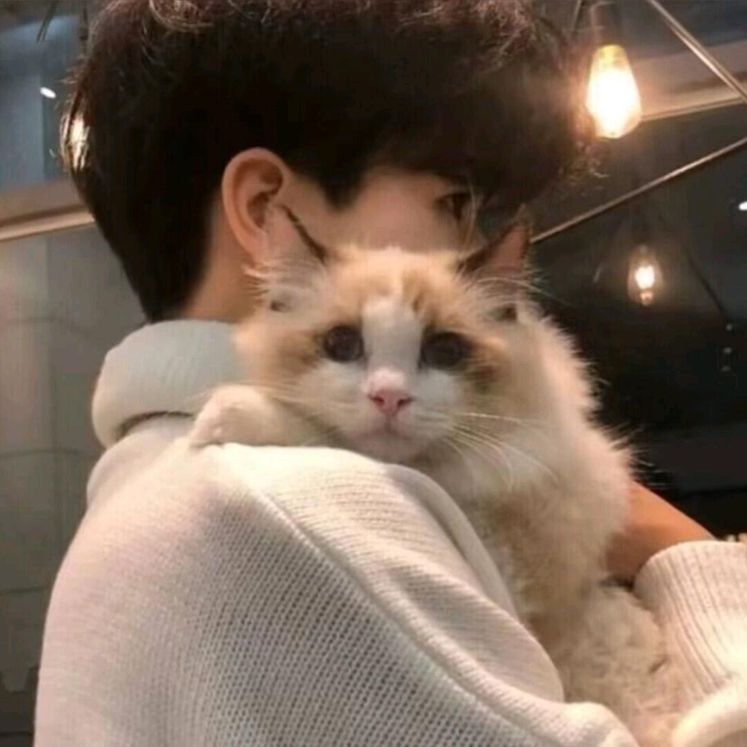 锦彦