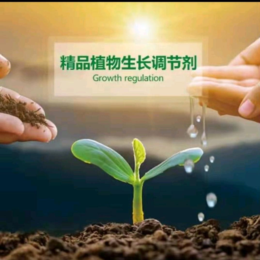 山东民德利华植保