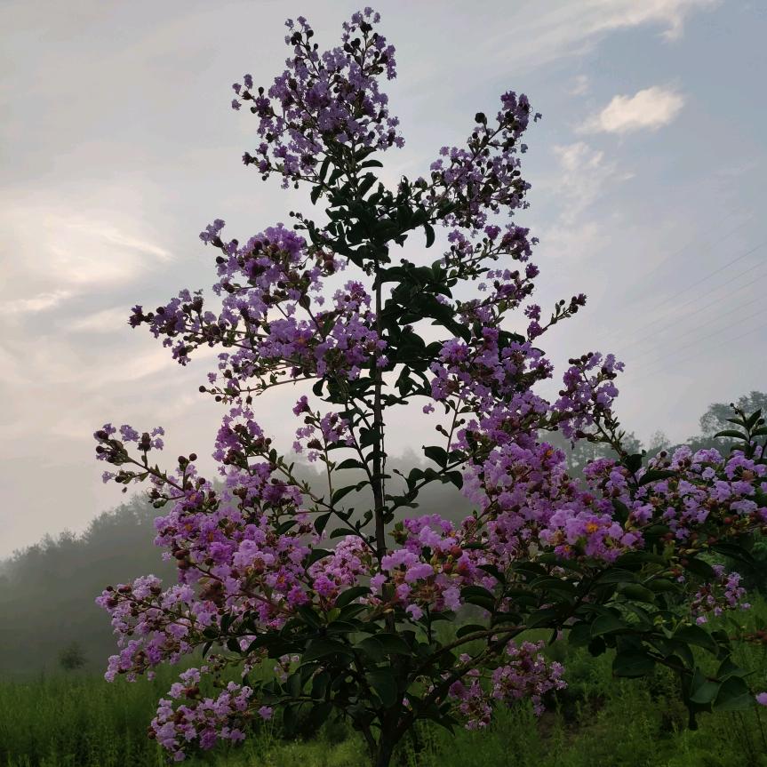 💞᭄执念ᝰ❤️ꦿ໌ᮨ້