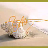 🚬ಇ᭄努力࿆ྃ搞钱࿐