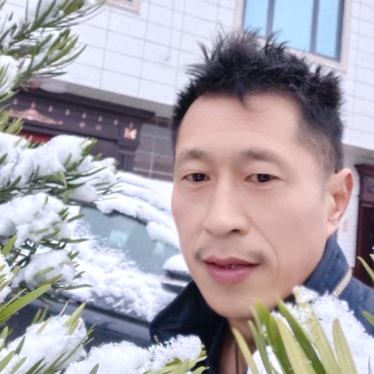 雪月青竹