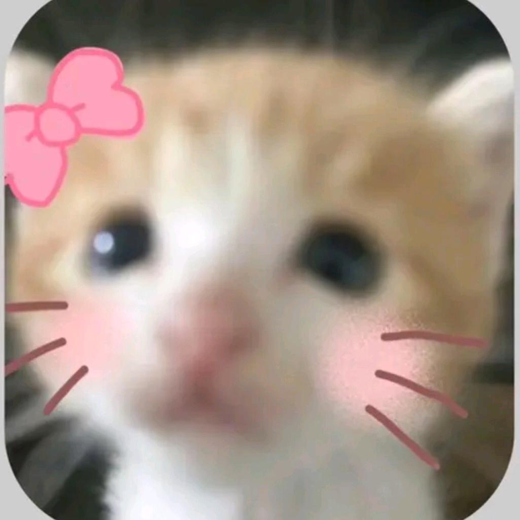 發很久的夢˚⊹ᡣ𐭩