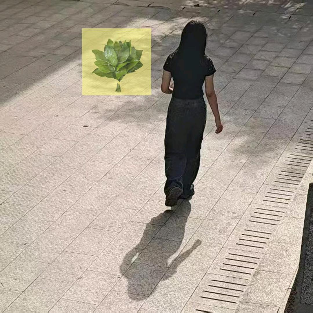 🕊喜上梅梢🌸