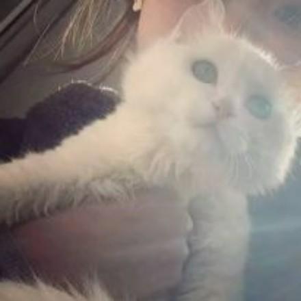 听说名字长会有傻子跟着念