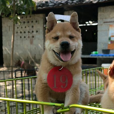 方小九