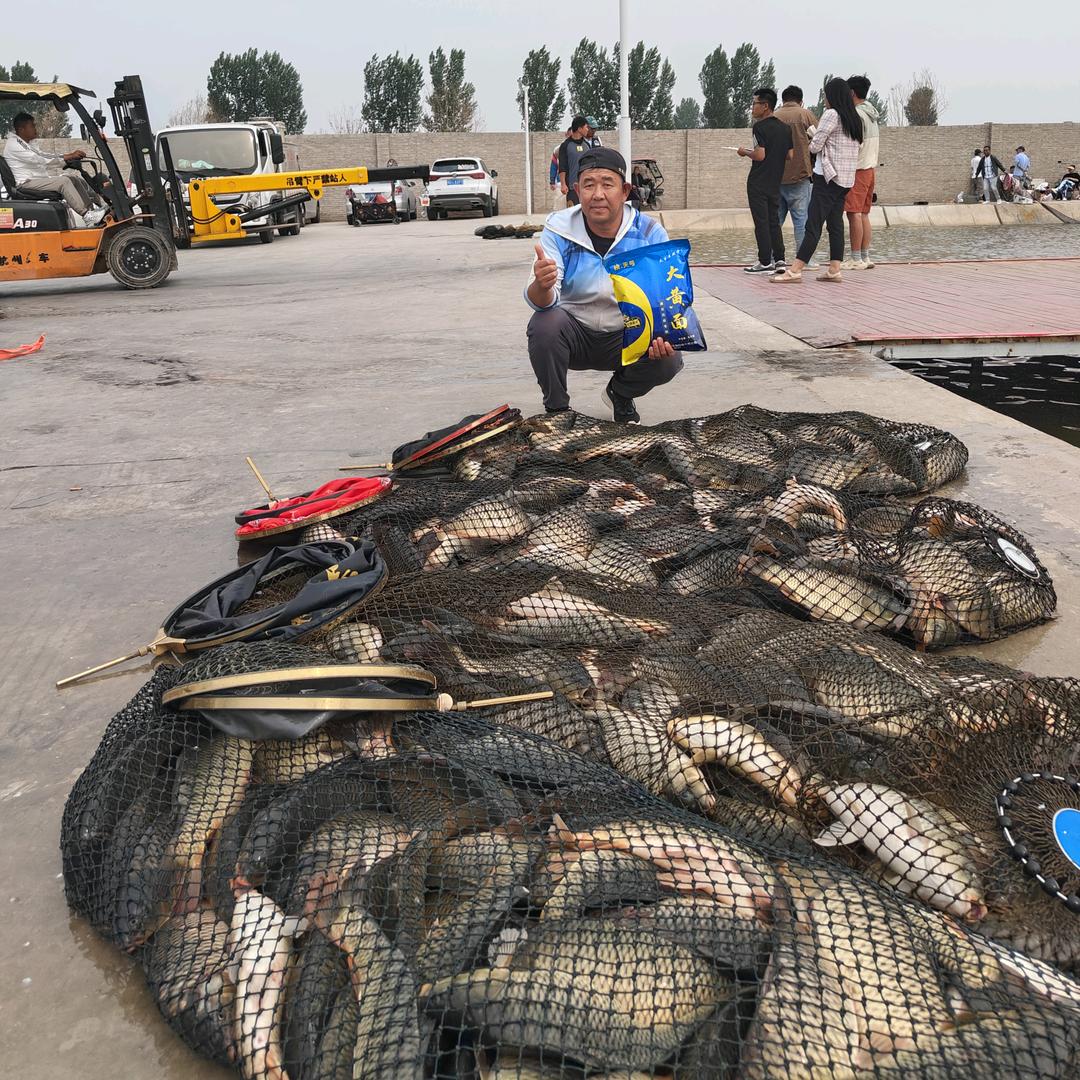 鱼魔仙钓具(弓哥钓黑坑)