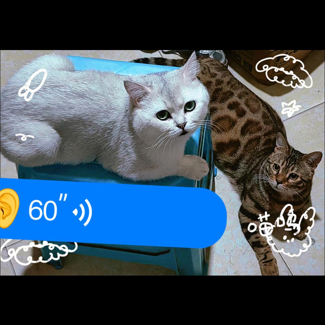 🥀ঞ吾₅₂₀朱💞࿐