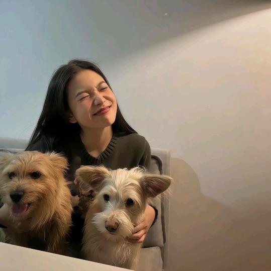 没有生菜活不了