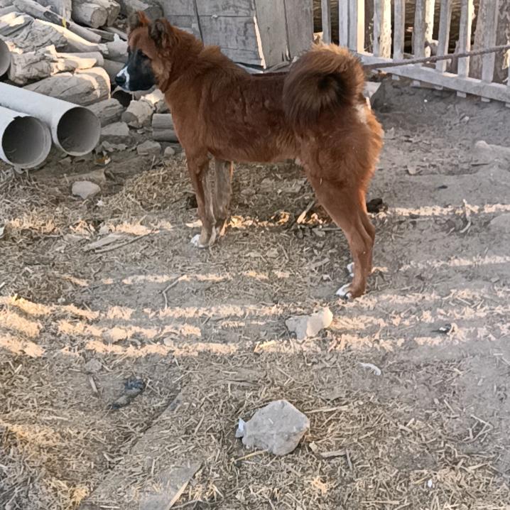 用户5438230980073