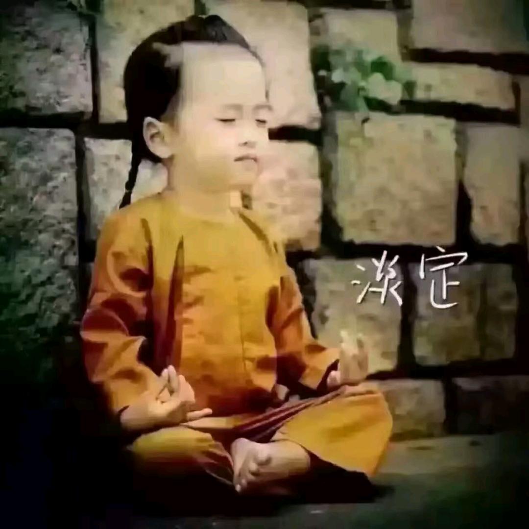 爱捣腾的陈先生