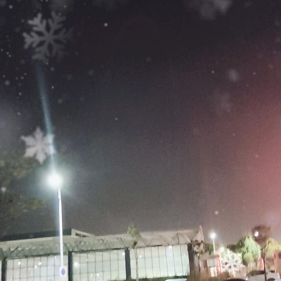 眠夫