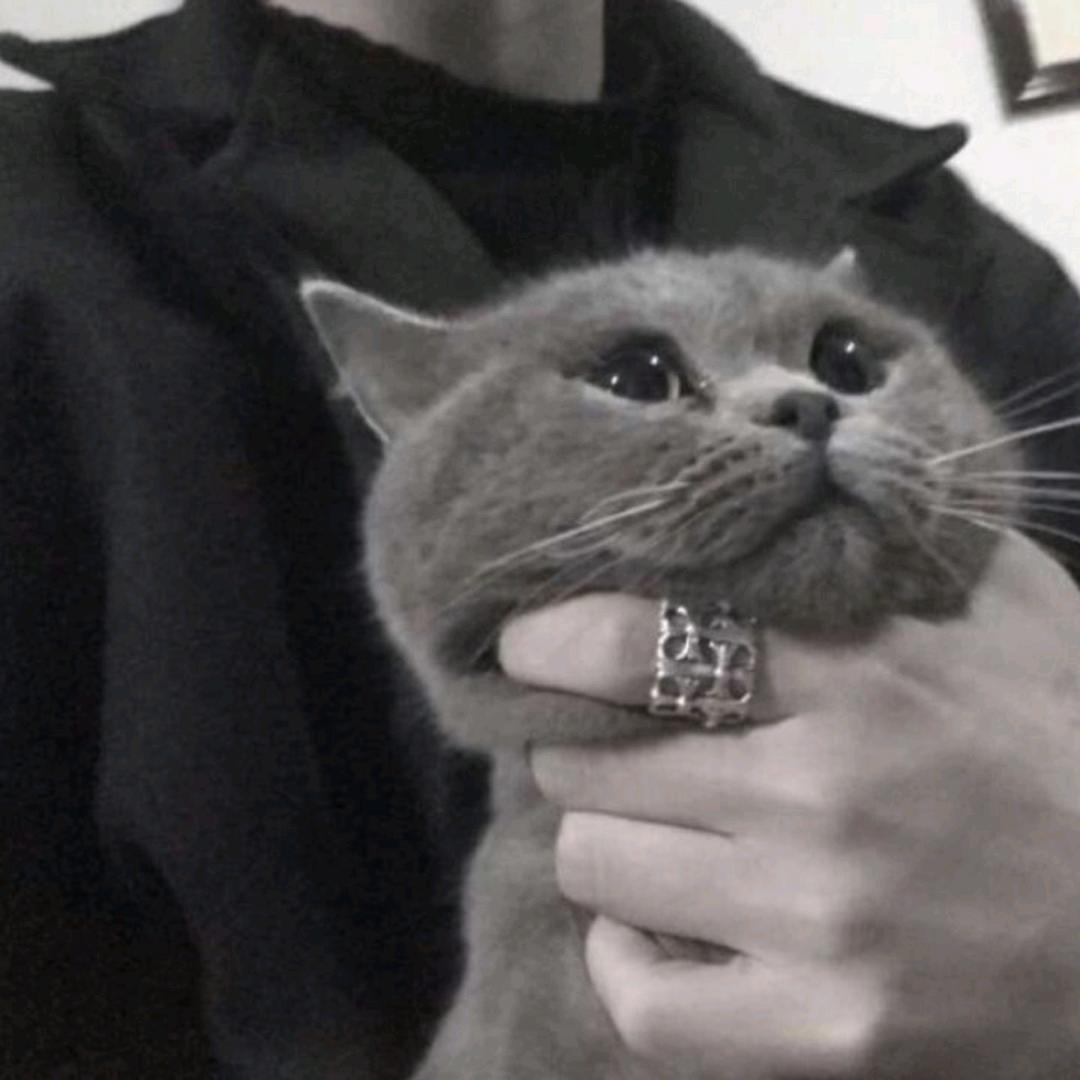 独角兽