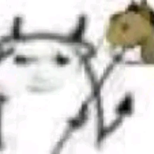 易冷