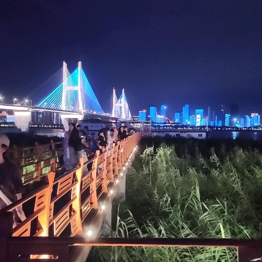 牛马观察局（青创）