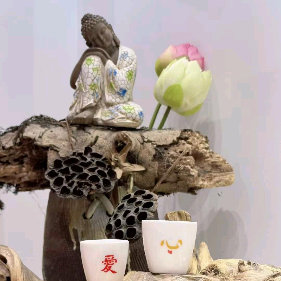 一夜看尽长安花