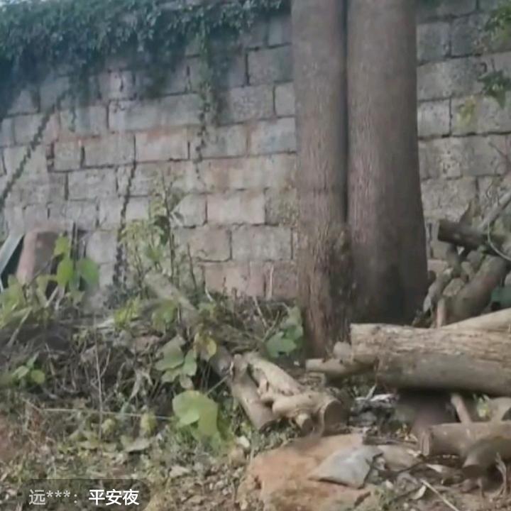 睡觉睡觉睡觉睡觉