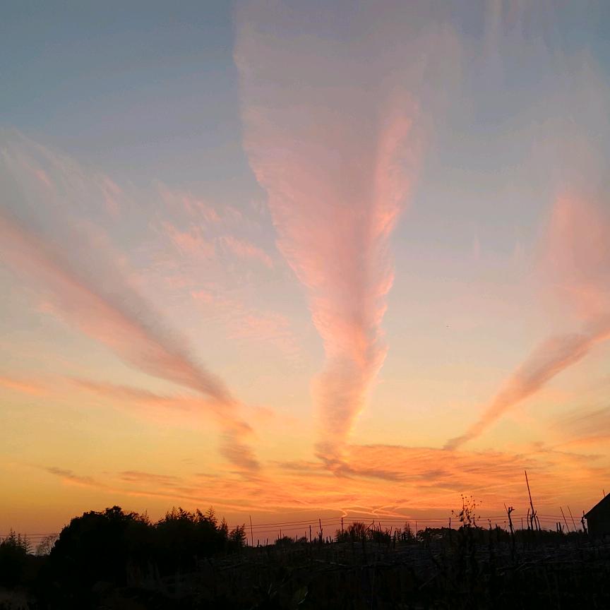 不愿意透露姓名