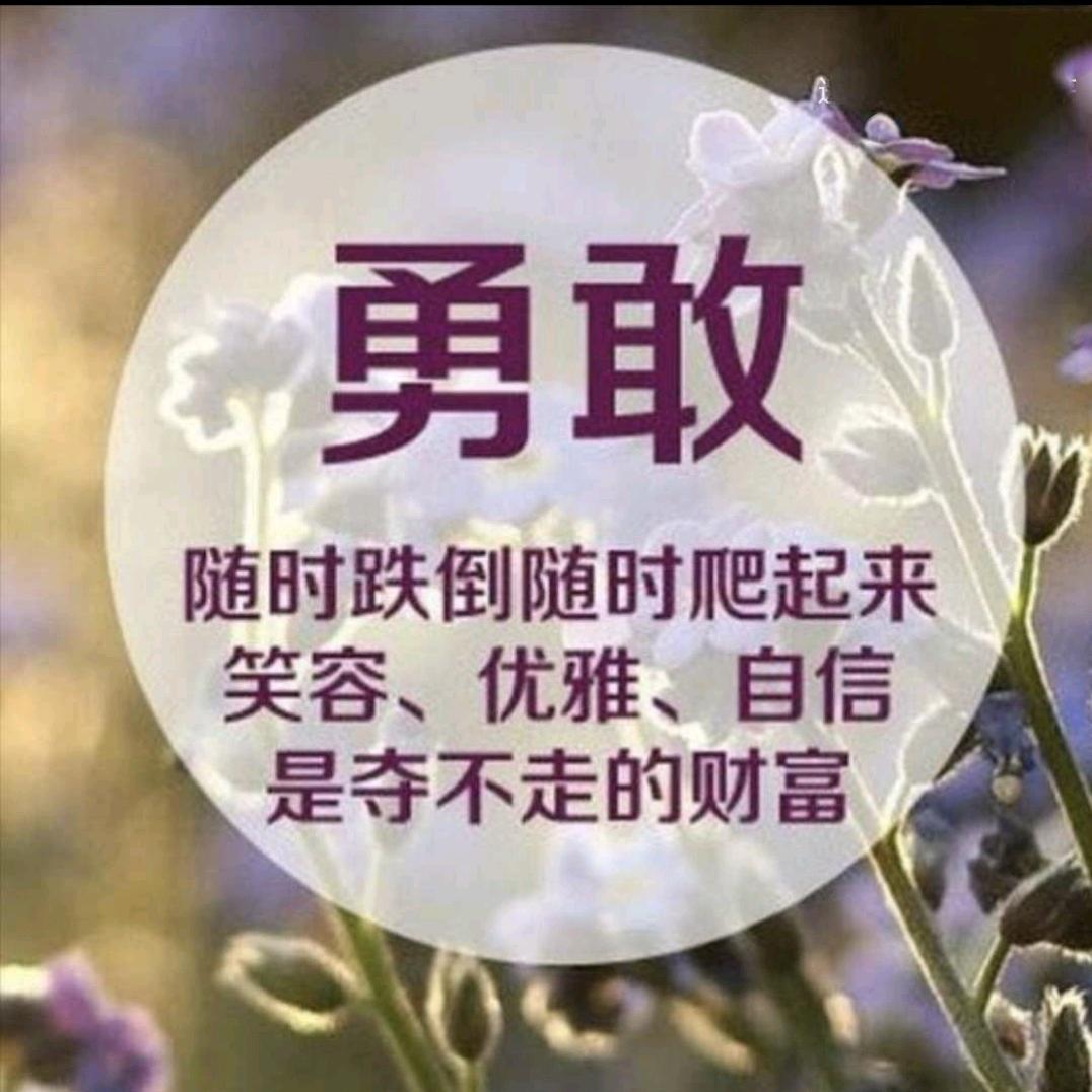 丰姿英彩
