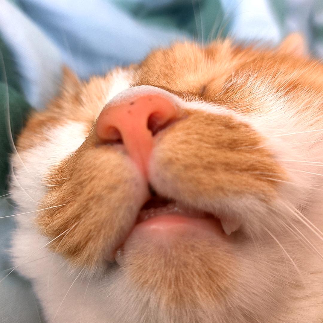 大大怪超人