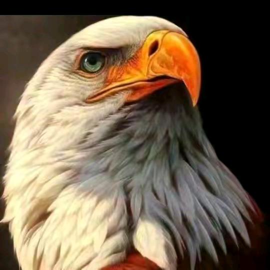 @🍪🦅孤GUYl鹰🦅🍪