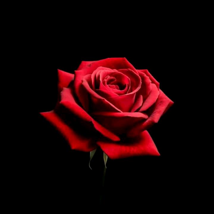 ₁₃¹⁴ℒฺℴฺνℯ⁵₂0