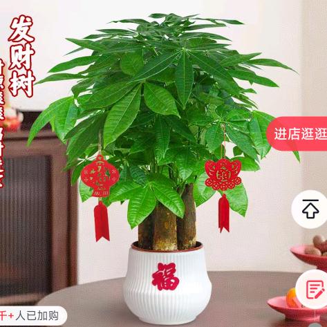 এ🍒ꦿ࿐ᩚ㞮孞つ♡⊂