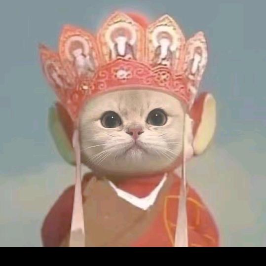百 毒 不 侵