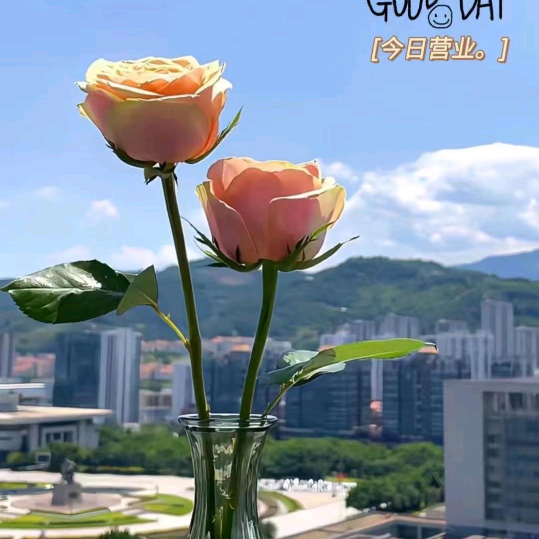 小兰