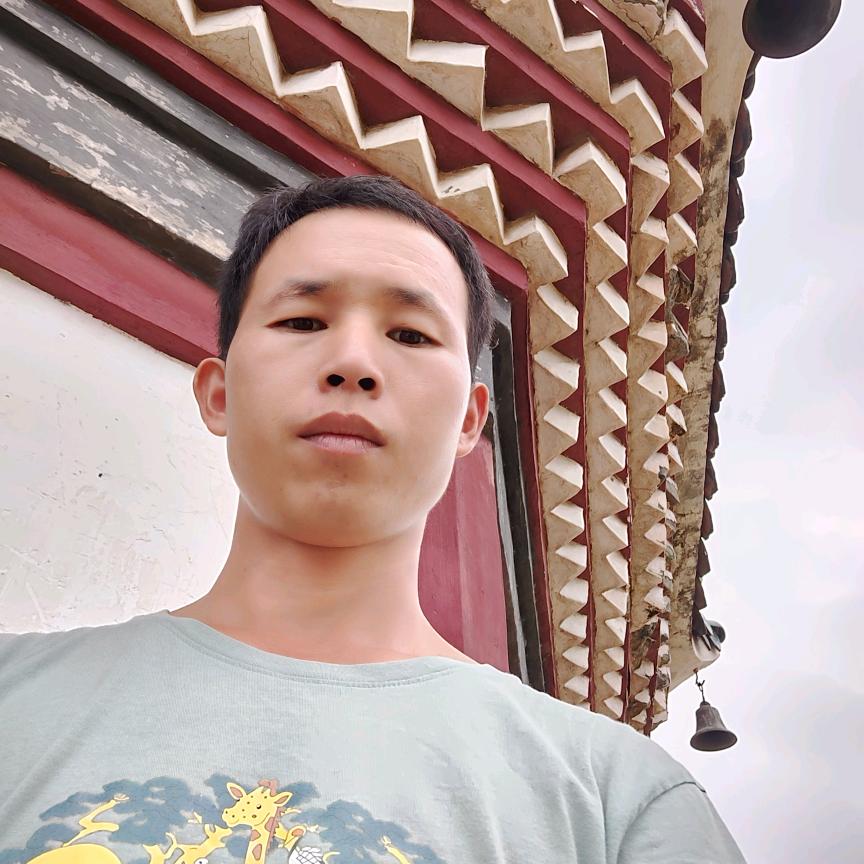 岑明振