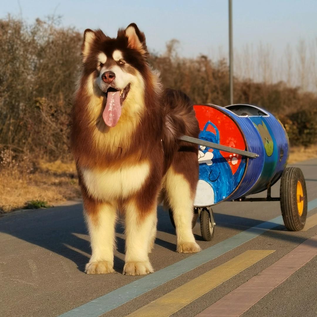 寵上乐