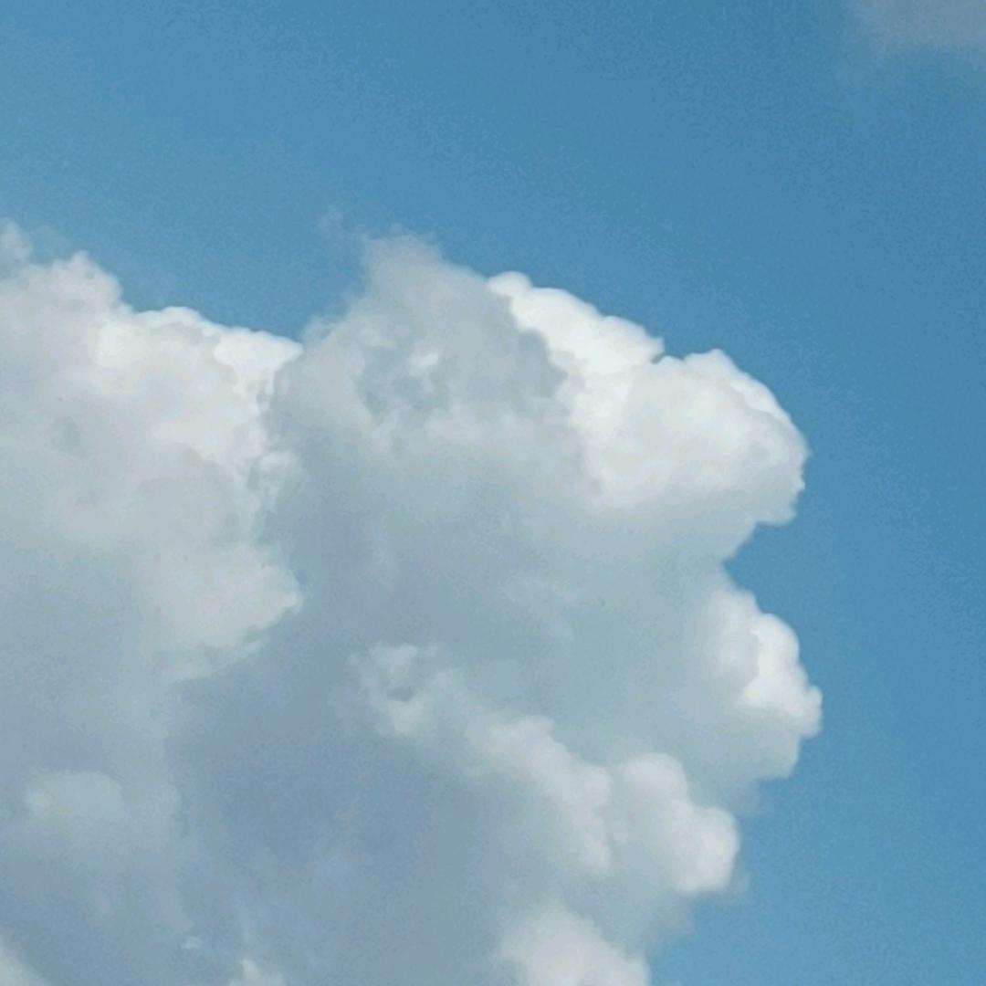 等风呀呀呀呀呀呀