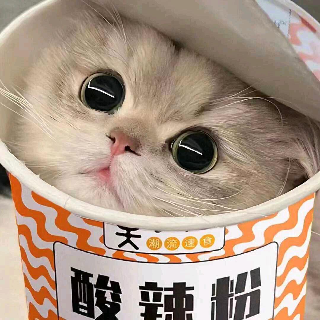 雾恋