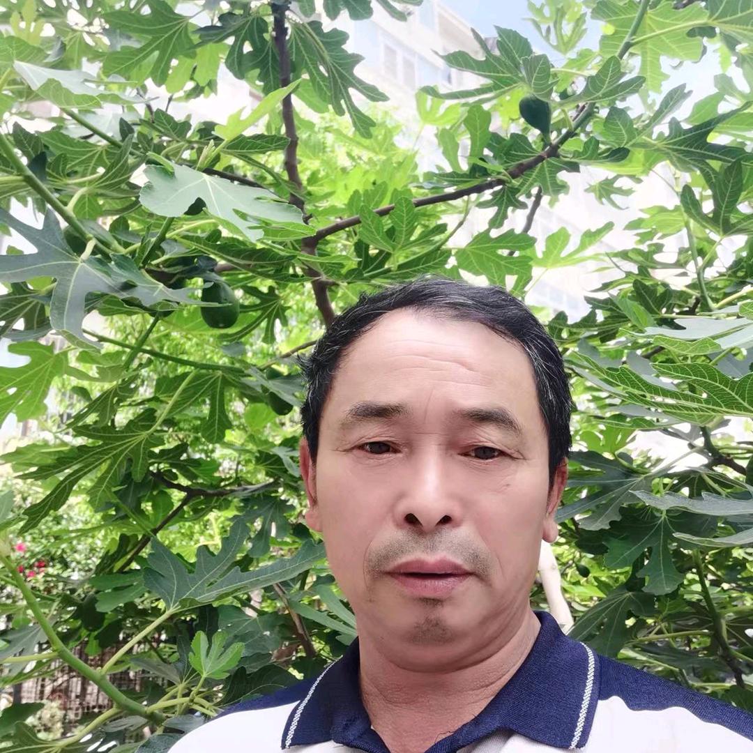 疯狂短剧